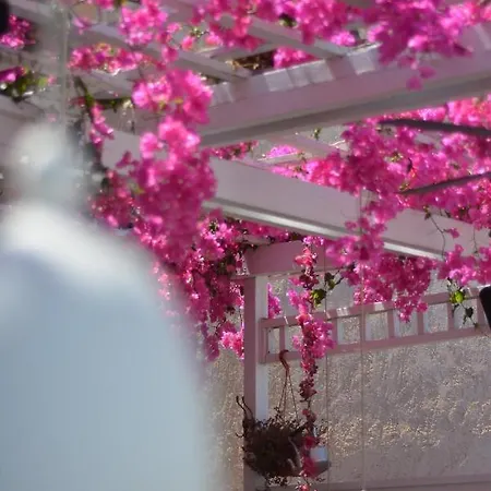 Iokasti Ξενοδοχείο 3*