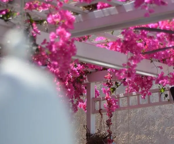 Iokasti Отель 3*