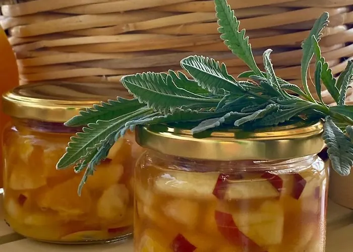 酒店 洛卡斯缇别墅酒店 3*