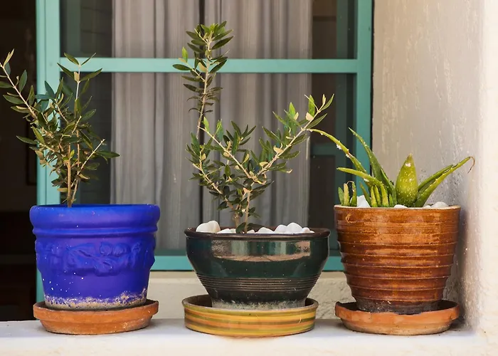 Iokasti 3* Limenas Chersonisou