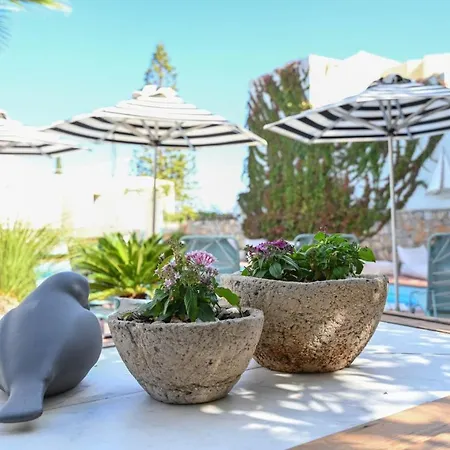 Iokasti 호텔 헐소니소스